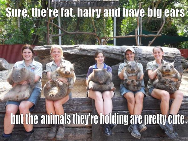 Sure, they're fat, hairy and have big ears
 but the animals they're holding are pretty cute