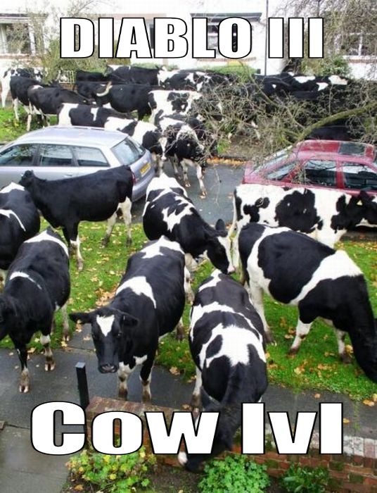 DIABLO III Cow lvl