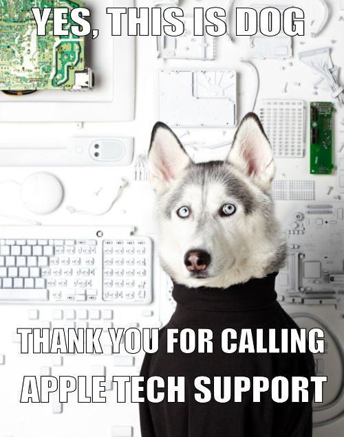 YES, THIS IS DOG
 THANK YOU FOR CALLING APPLE TECH SUPPORT