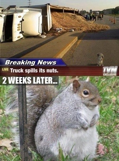 Breaking News
 Truck spills its nuts.
 2 WEEKS LATER