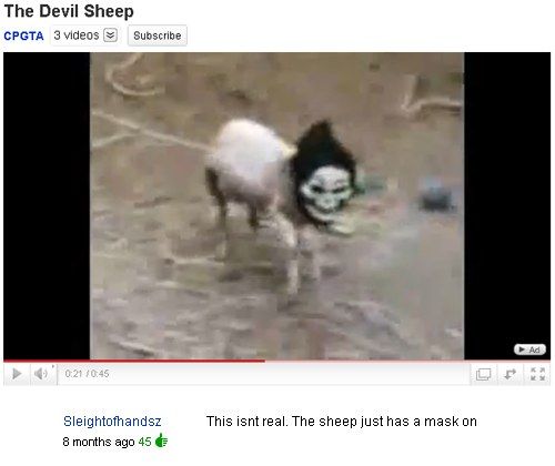 The Devil Sheep
 This isnt real. The sheep just has a mask on