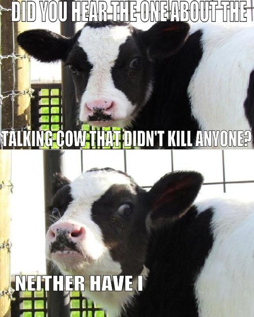 DID YOU HEAR THE ONE ABOUT THE TALKING COW THAT DIDN'T KILL ANYONE?
 NEITHER HAVE I