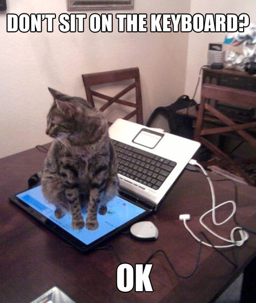 DON'T SIT ON THE KEYBOARD? OK