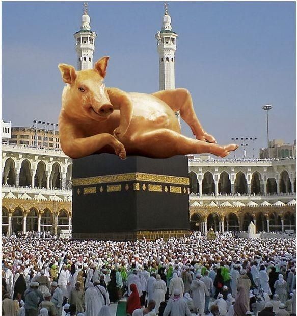 pig in mecca
