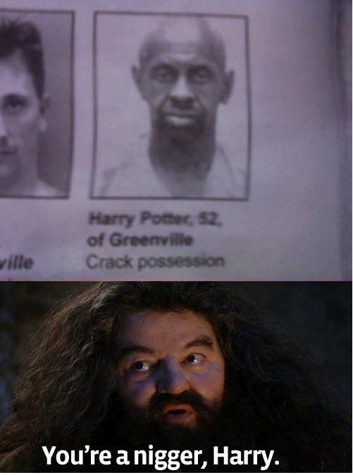 Harry Potter, 52, of Greenville
 Crack possession