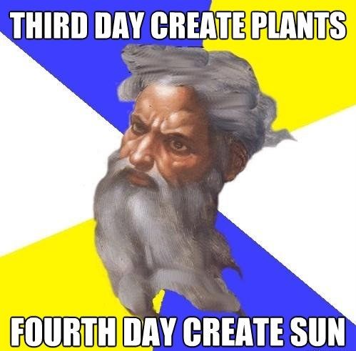 THIRD DAY CREATE PLANTS
 FOURTH DAY CREATE SUN