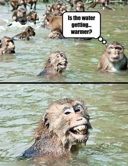 Is the water getting... warmer?