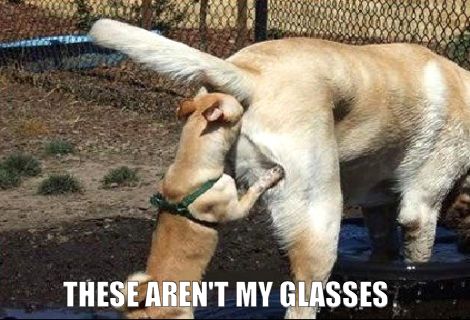 THESE AREN'T MY GLASSES
