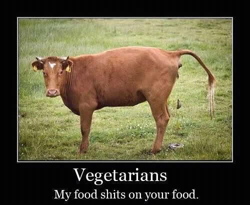 Vegetarians My food shits on your food.