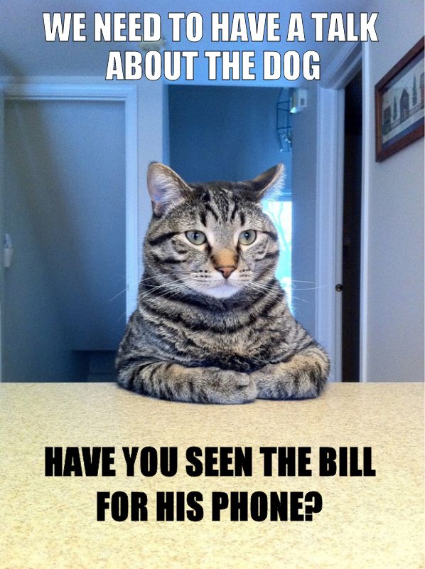 WE NEED TO HAVE A TALK ABOUT THE DOG HAVE YOU SEEN THE BILL FOR HIS PHONE?