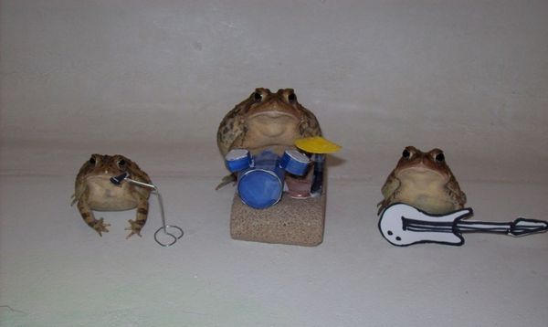 _frog_band