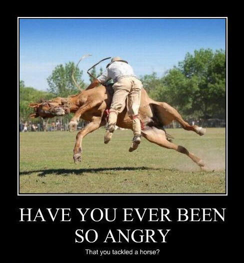 HAVE YOU EVER BEEN SO ANGRY That you tackled a horse?