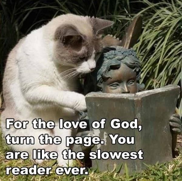 For the love of God, turn the page. You are like the slowest reader ever.