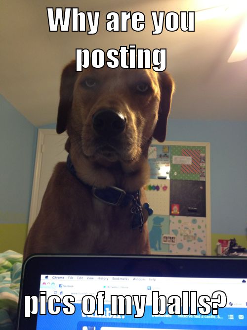 Why are you posting pics of my balls?