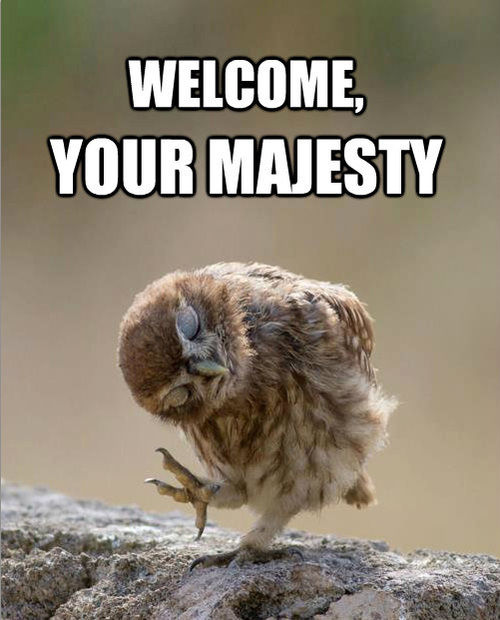WELCOME, YOUR MAJESTY