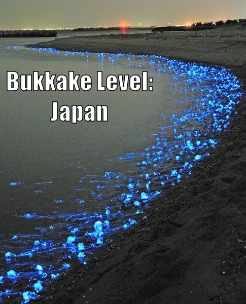 Bukkake Level: Japan
