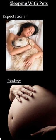 Sleeping With Pets Expectations: Reality: