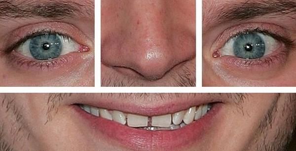 elijah wood ugly face collage