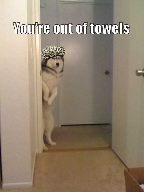 You're out of towels
