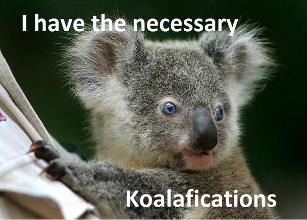 I have the necessary
 Koalafications