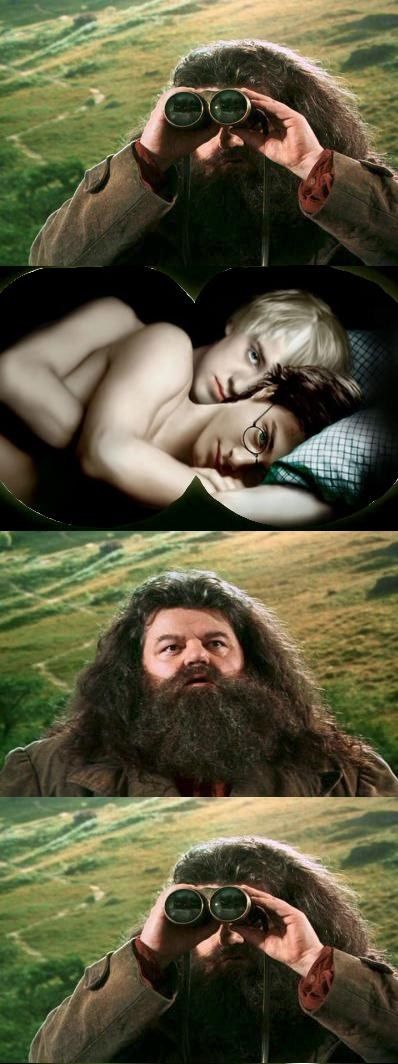 Hagrid finds out