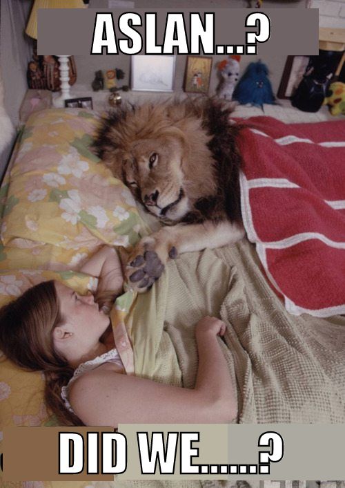 ASLAN...? DID WE...?