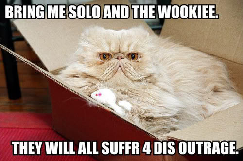 BRING ME SOLO AND THE WOOKIEE. THEY WILL ALL SUFFR 4 DIS OUTRAGE.