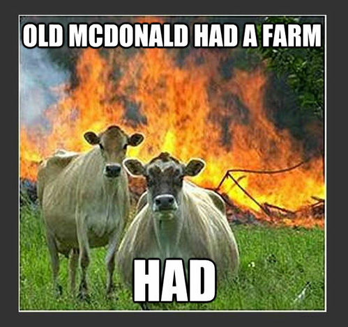 OLD MCDONALD HAD A FARM HAD