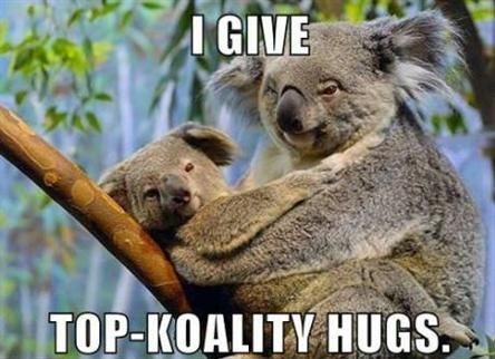 I GIVE
 TOP-KOALITY HUGS