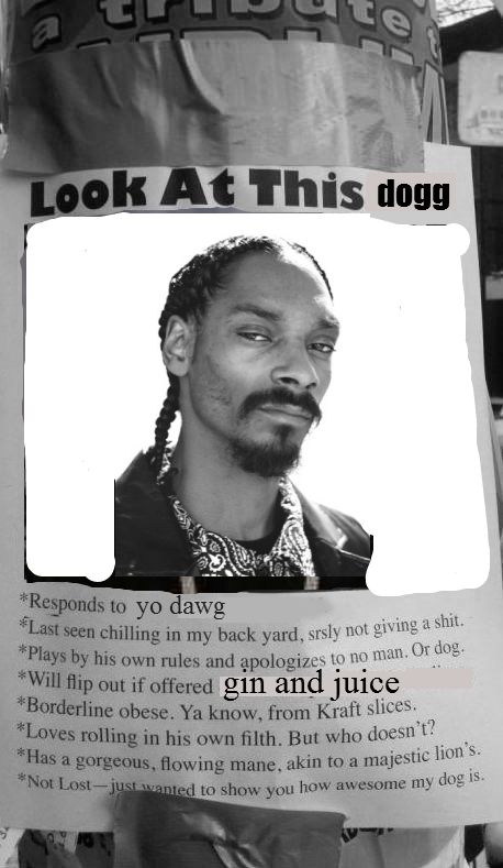 Look At This dogg
 * Responds to yo dawg
 * Last seen chilling in my back yard, srsly not giving a shit
 * Plays by his own rules and apologizes to no man. Or dog.
 * Will flip out if offered gin and juice