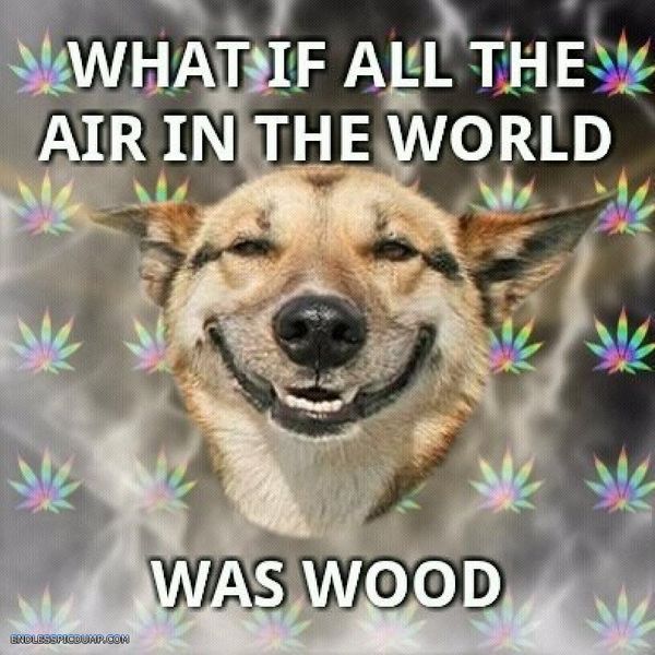 WHAT IF ALL THE AIR IN THE WORLD
 WAS WOOD