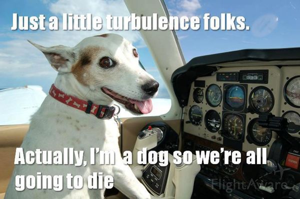 Just a little turbulence folks.
 Actually, I'm a dog so we're all going to die