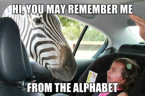 HI, YOU MAY REMEMBER ME
 FROM THE ALPHABET