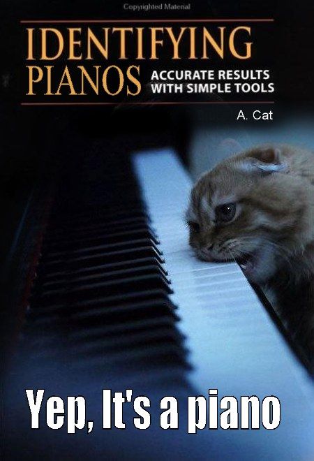 IDENTIFYING PIANOS
 ACCURATE RESULTS WITH SIMPLE TOOLS
 A. Cat
 Yep, It's a piano