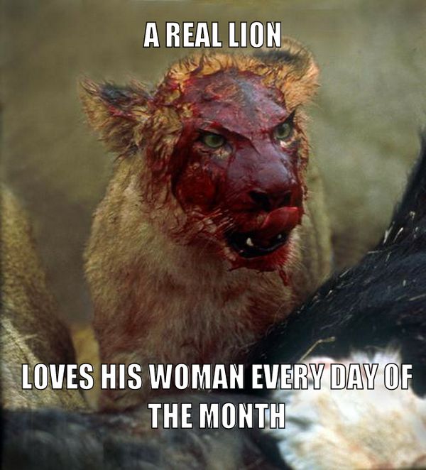 A REAL LION
 LOVES HIS WOMAN EVERY DAY OF THE MONTH