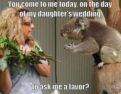 You come to me today, on the day of my daughter's wedding to ask me a favor?