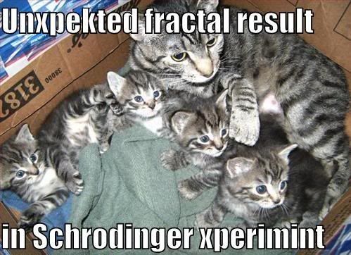 Unxpekted fractal result in Schrodinger xperimint