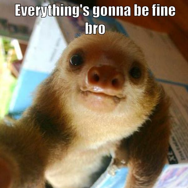 Everything's gonna be fine bro