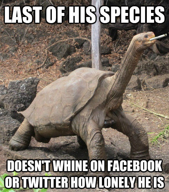 LAST OF HIS SPECIES DOESN'T WHINE ON FACEBOOK OR TWITTER HOW LONELY HE IS