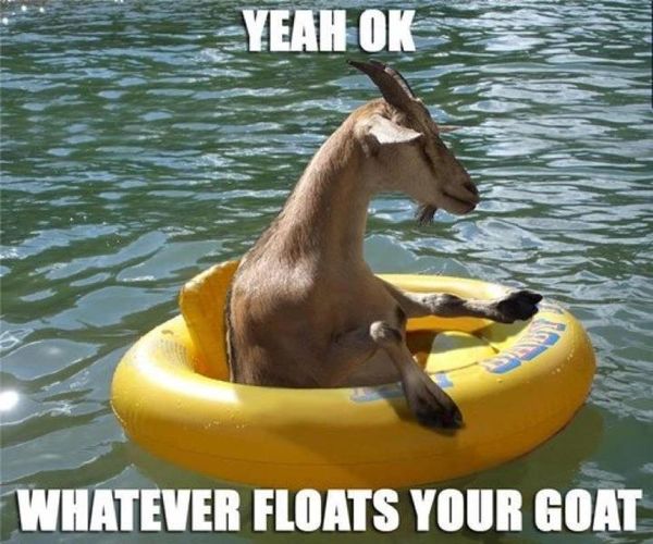 YEAH OK WHATEVER FLOATS YOUR GOAT