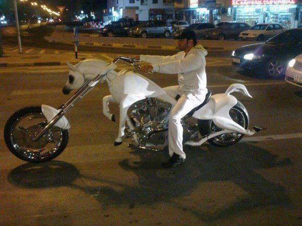 prince on a white horse