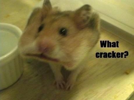What cracker?