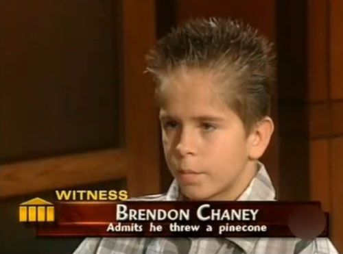 WITNESS BRENDON CHANEY Admits he threw a pinecone