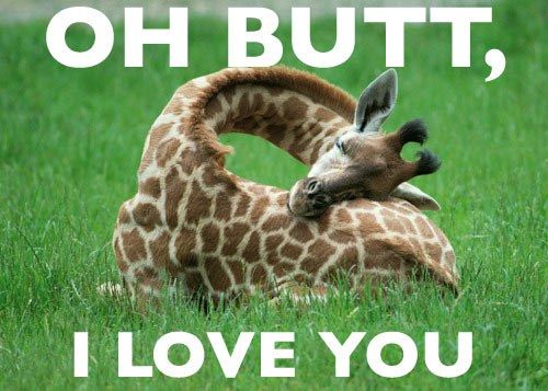OH BUTT, I LOVE YOU