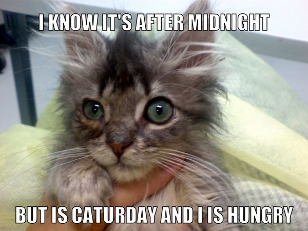 I KNOW IT'S AFTER MIDNIGHT
 BUT IS CATURDAY AND I IS HUNGRY