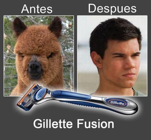 Before After
 Gillette Fusion