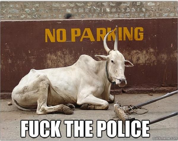 NO PARKING F✡✞K THE POLICE