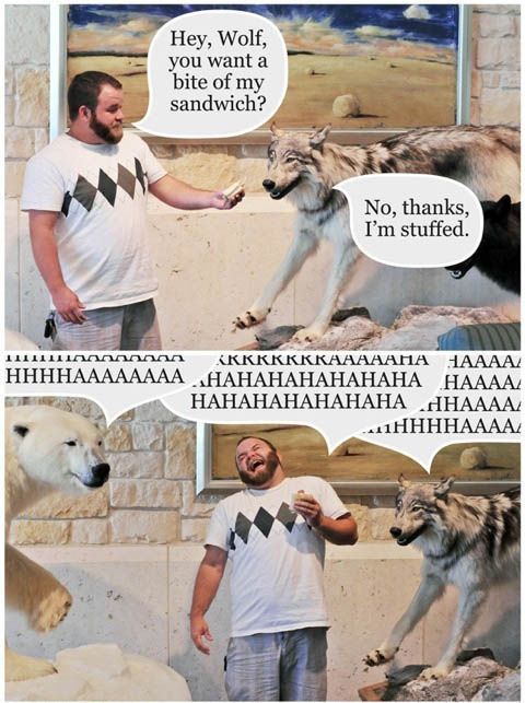 Hey, Wolf, you want a bite of my sandwich?
 No, thanks, I'm stuffed.
 HHHHHAAAAAHAHAHAHAHHAHAHAHAH