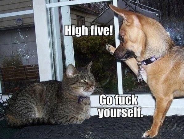 HIGH FIVE!
 GO F✡✞K YOURSELF.