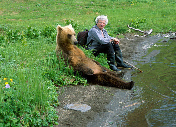 bear chilling by a stream